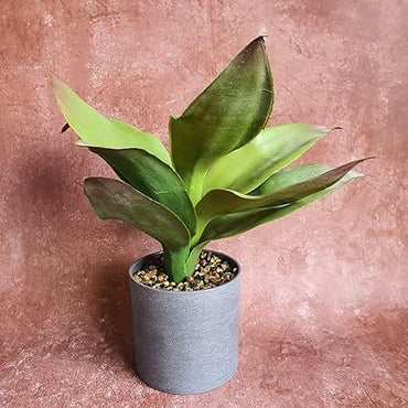 1 Pc Artificial Plant with Aesthetic Plastic Pot - Snake Plant,Modernartmart