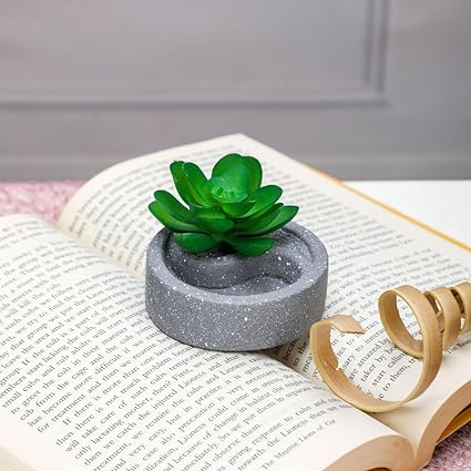 1 Pc aesthetic Mini Succulent plant with Ceramic cement Pot,Modernartmart