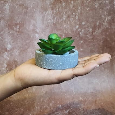 1 Pc aesthetic Mini Succulent plant with Ceramic cement Pot,Modernartmart