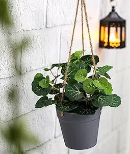 1 Pc Artificial Hanging Succulent Plant with Aesthetic Ceramic Cement Pot,Modernartmart