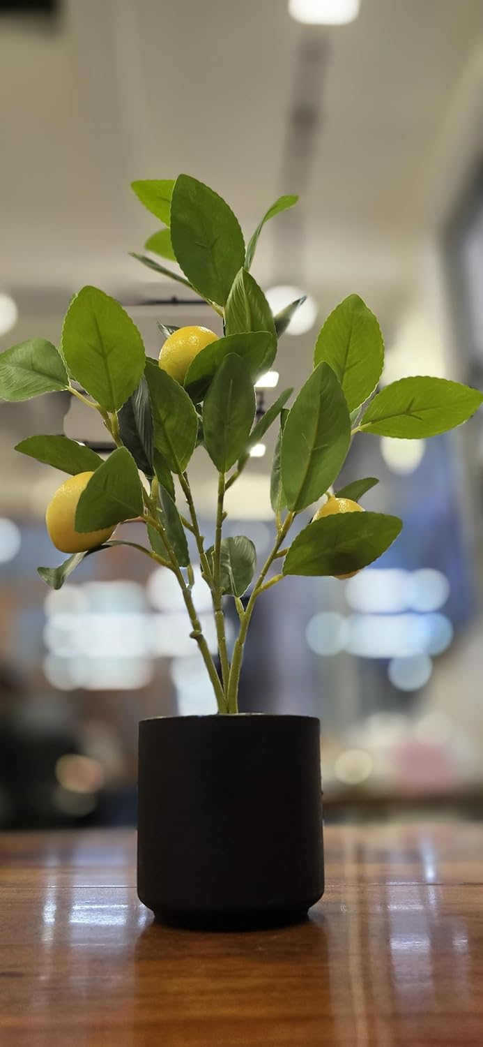 1 Pc Artificial Lemon Plant with Pot succulent, Artificial Flower Decoration Plant,Modernartmart