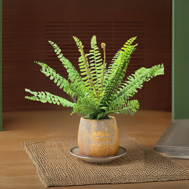 1 Pc Artificial Plant with Vintage Vase, Artificial Flower Decoration Plant succulent for Home Decor Item,Modernartmart