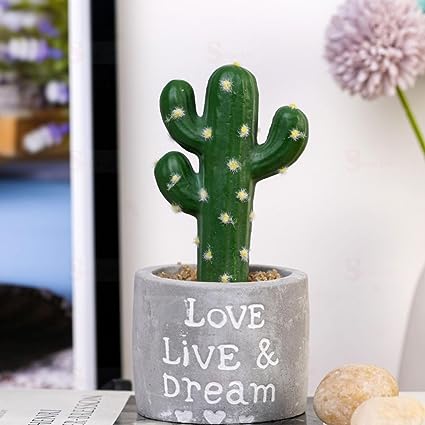 1 Pc Cactus Succulent Indoor Plant with Aesthetic Cement Pot,Modernartmart