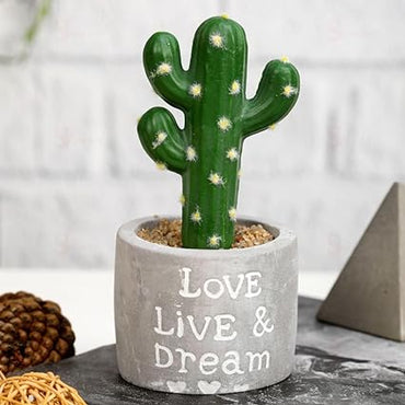 1 Pc Cactus Succulent Indoor Plant with Aesthetic Cement Pot,Modernartmart