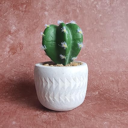 1 Pc Cactus Succulent indoor Plant with aesthetic cement Pot,Modernartmart