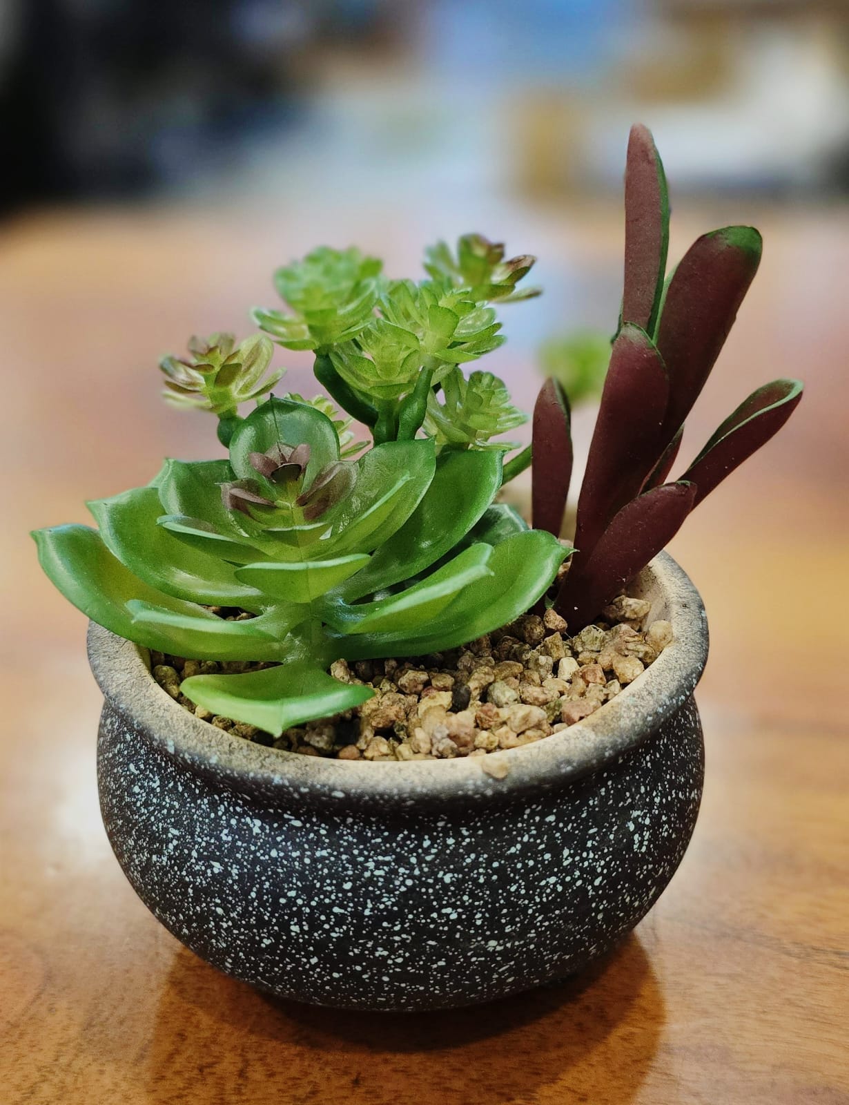 1 Pc Succulent with Ceramic Pot, Artificial Flower Decoration Plant, Modernartmart