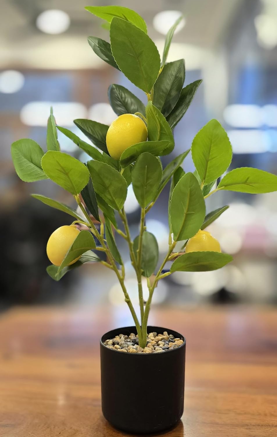 1 Pc Artificial Lemon Plant with Pot succulent, Artificial Flower Decoration Plant for Home Decor Item,Modernartmart