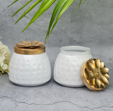 Pack of 2 Metal Polished Alloy Container With Lid Brass,Modernartmart