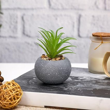 1 Pc Mini Aesthetic Succulent Flower Plant with Ceramic Cement ,Modernartmart