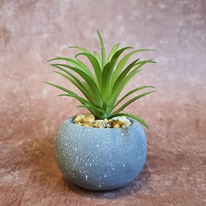 1 Pc Mini Aesthetic Succulent Flower Plant with Ceramic Cement ,Modernartmart