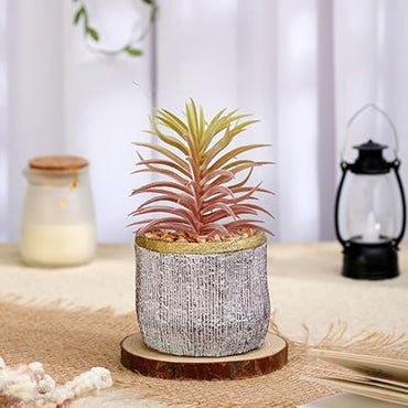 1 PCS Mini Artificial Succulent with Ceramic Pot for Home Decor,Modernartmart