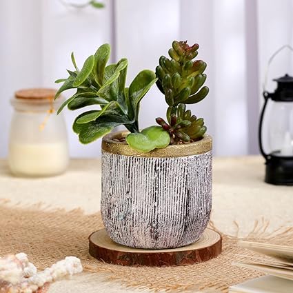 1 PCS Mini Echeveria elegans Artificial Green Succulent Plant with Ceramic Pot,Modernartmart