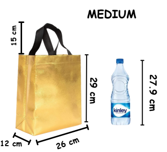 12 pcs Medium Size Non Woven Bag With Handle 26 x 29 cm Gift Paper bag, Carry Bags, gift bag,Modernartmart