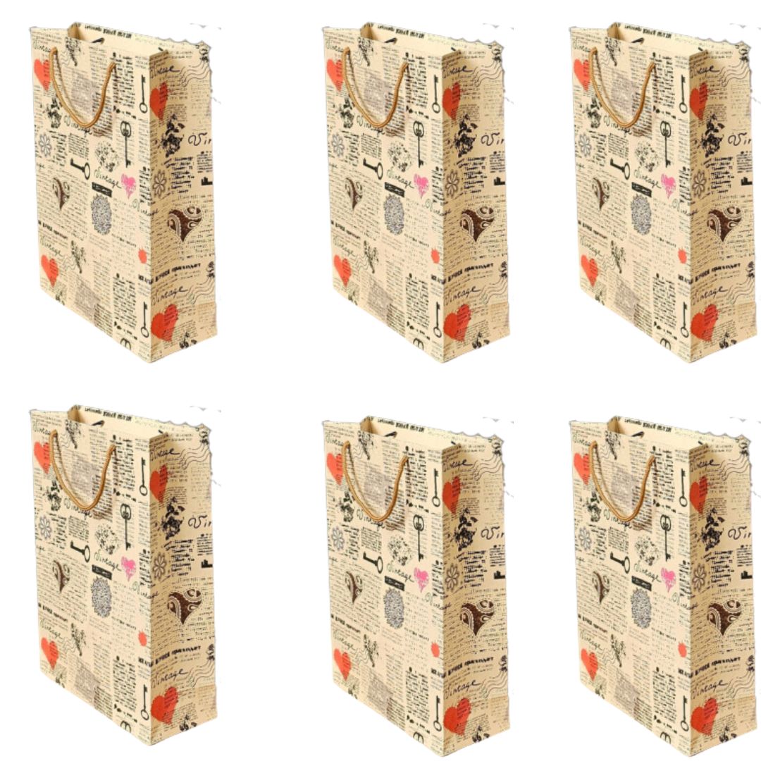 6 pcs Big Size Paper Bag With Handle 37 x 28 cm Gift Paper bag, Carry Bags, gift bag, gift for Birthday,Modernartmart