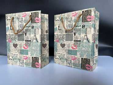 6 pcs Big Size Paper Bag With Handle 37 x 28 cm Gift Paper bag, Carry Bags, gift bag,Modernartmart