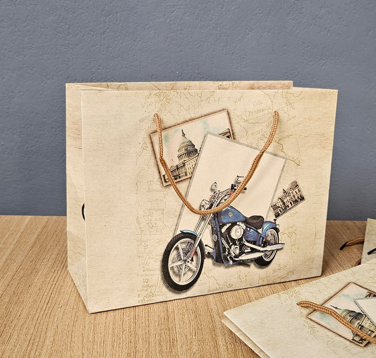 12 pcs Medium Size Paper Bag With Handle 20 x 25 x 10 cm Gift Paper bag, Carry Bags,Modernartmart