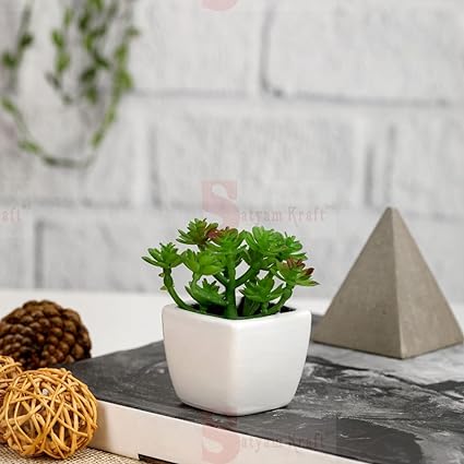 1 Pc Succulent Small Mini Plants with aesthetic ceramic cement pot,Modernartmart